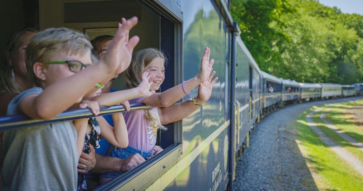 Family Fun in the Mountains - Fannin County Chamber of Commerce
