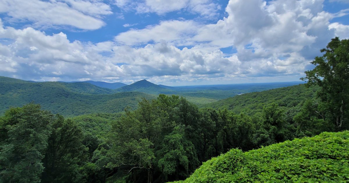 Saving and Sharing are Natural Priorities | Blue Ridge, GA