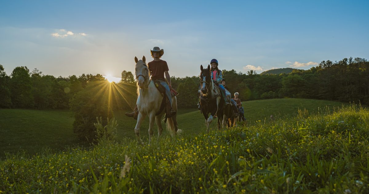 Horseback Riding Fannin County Chamber of Commerce Blue Ridge,