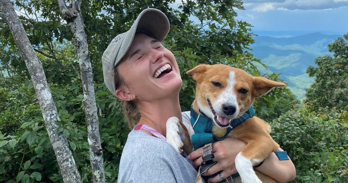 Top PetFriendly Places in Blue Ridge Blue Ridge, GA