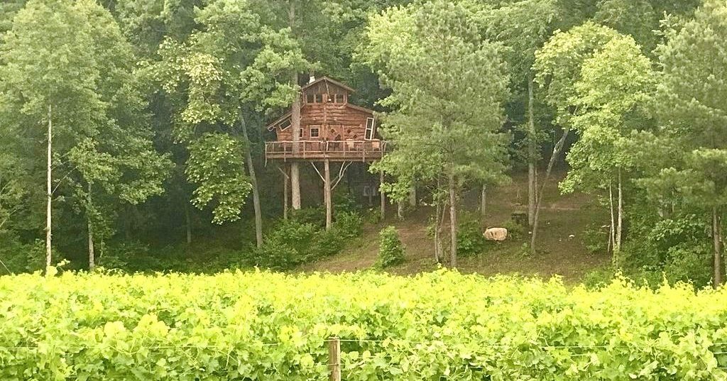 Blue Ridge Tree Man 5 Unique Experiences for Families in Blue Ridge | Blue Ridge, GA