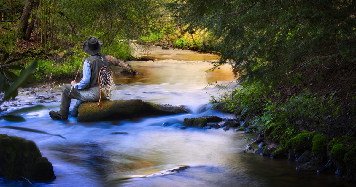 Trout Fishing Fannin County Chamber of Commerce Blue Ridge,