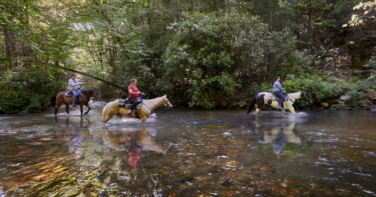 Horseback Riding in Blue Ridge Blue Ridge, GA