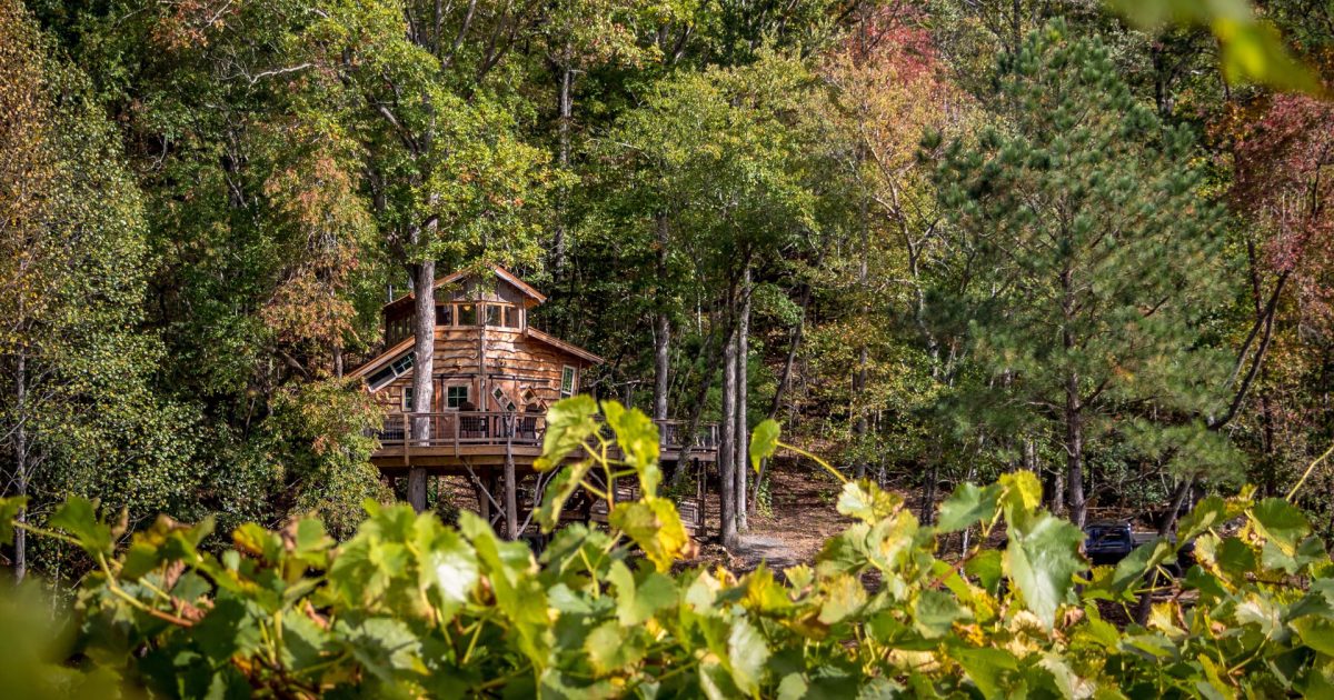 Blue Ridge Treehouse Rentals Blue Ridge, GA