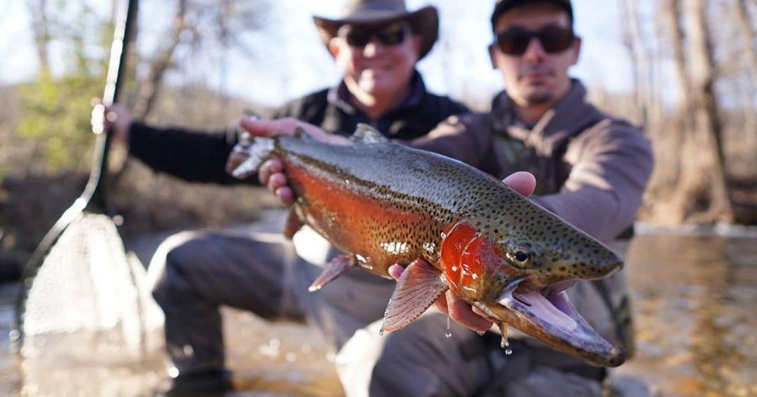Ultimate Guide to Trout Fishing in Blue Ridge, Georgia | Blue Ridge, GA