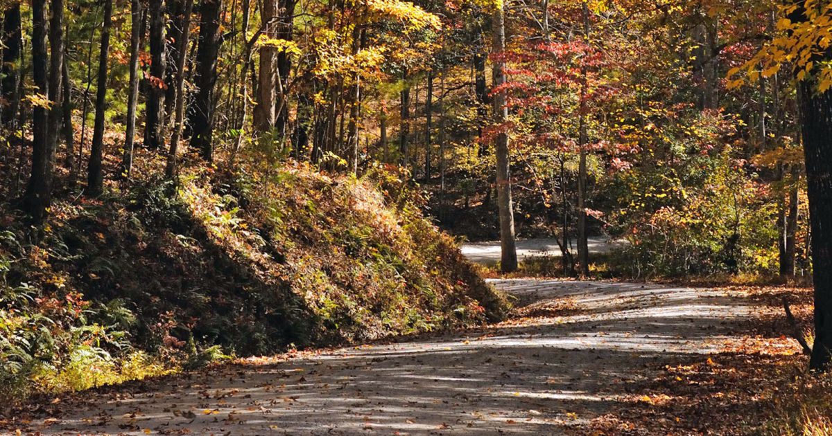 Cohutta Wilderness Blue Ridge, GA