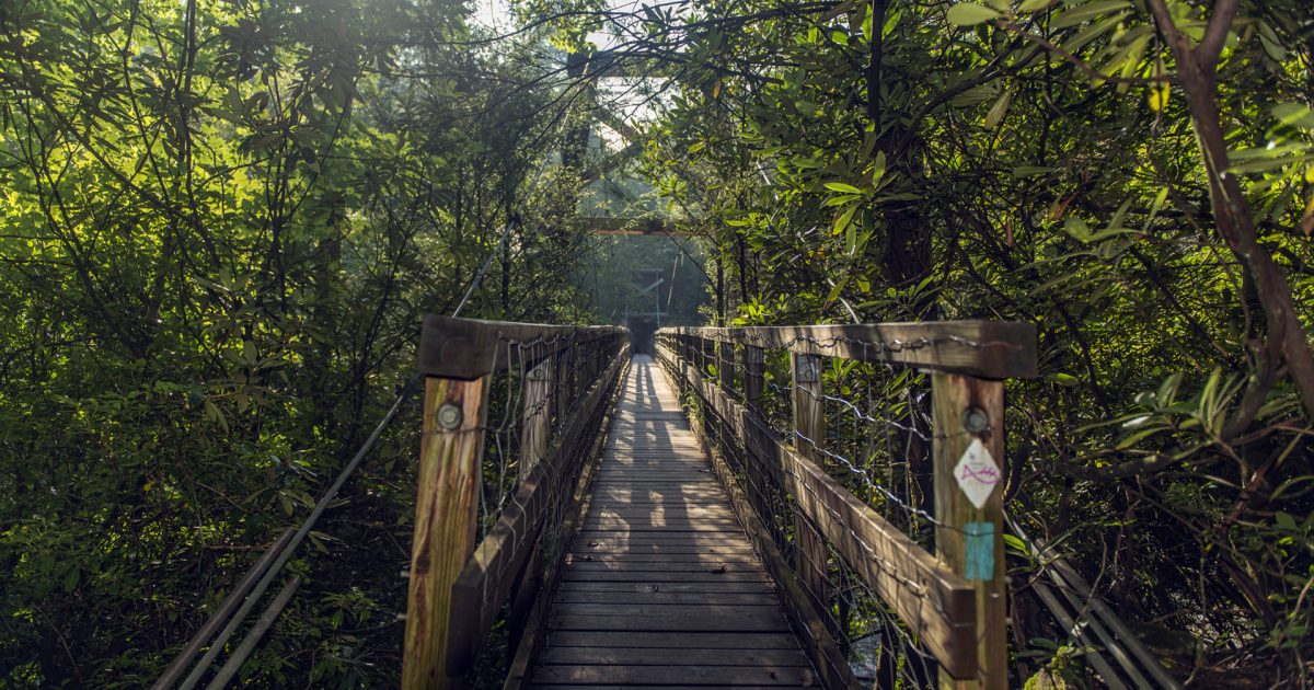 Swinging Bridge on the Toccoa River Fannin County Chamber of Commerce
